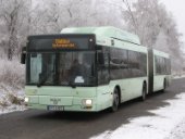 Kennenlernbus Frankfurt - Słubice